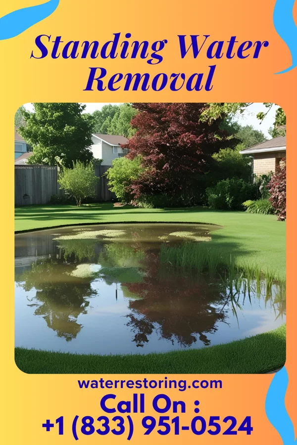 Standing Water Removal in Smithtown, NC